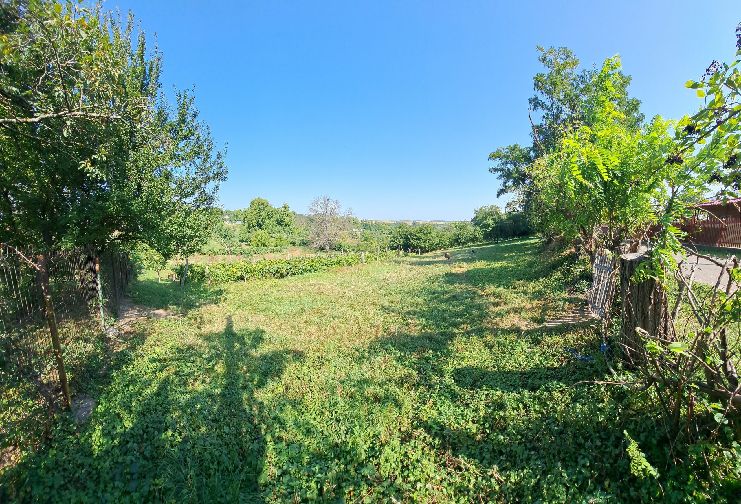 Teren intravilan 2.370 mp | Priveliște panoramică | Utilități la gard | Hlapești, Neamț